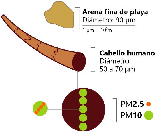 _images/pm_tamaño.png